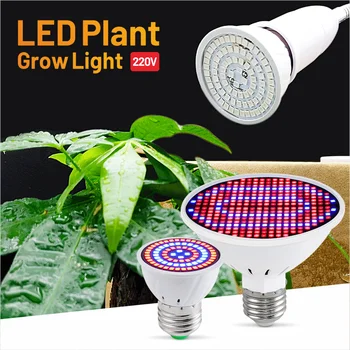 Led Лампа за Отглеждане на 48 60 80 led S E27/E14 220 В Фитолампа за Растенията Лампа Пълен набор от Вътрешно Осветление Гидропонная Системата Grow Box